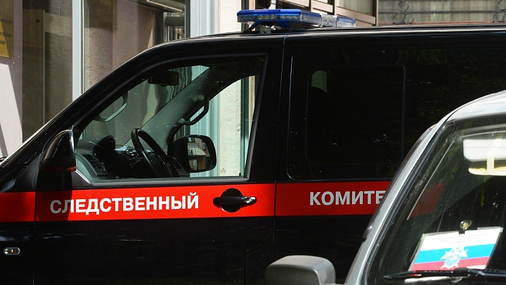 В Смоленске продлили арест женщине, подозреваемой в похищении ребёнка